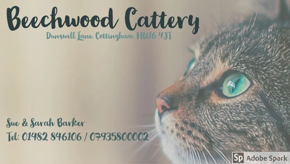 Beechwood Cattery - City of Kingston upon Hull pet otel