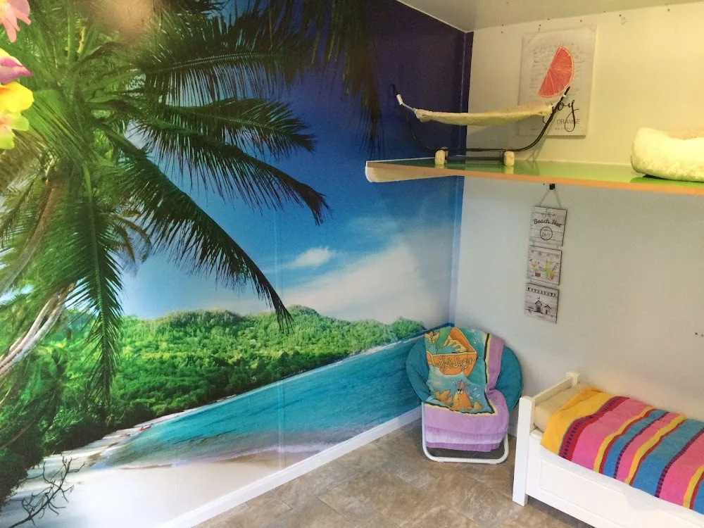 Bilton Cattery - City of Kingston upon Hull pet otel
