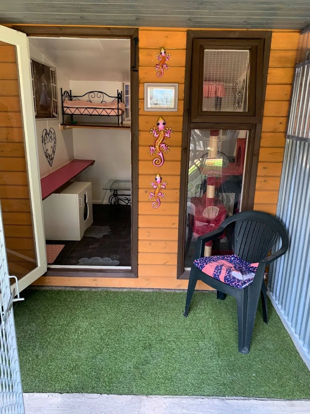 Bilton Cattery - City of Kingston upon Hull pet otel görseli 3