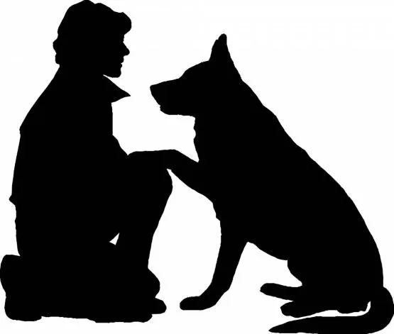 CGR Pet Care - City of Kingston upon Hull pet otel