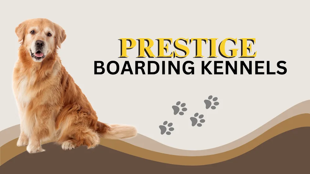 Prestige Boarding Kennels Hull - City of Kingston upon Hull pet otel görseli 2