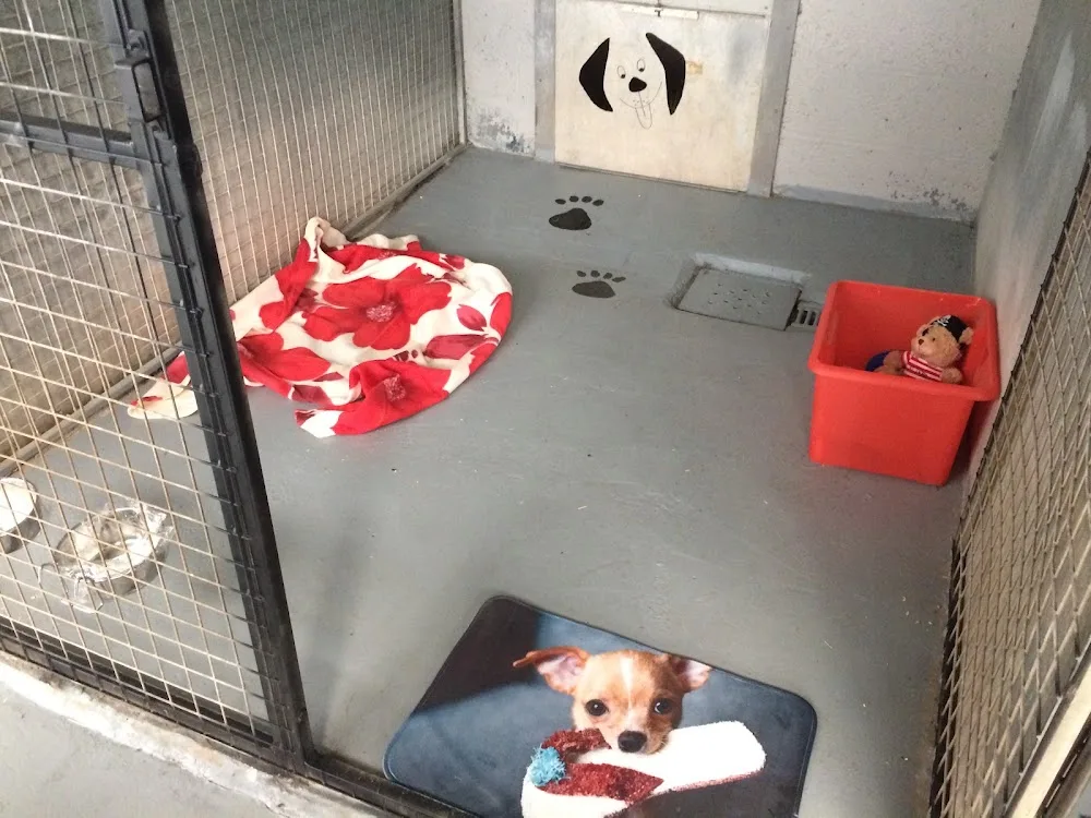 Riverbank Boarding Kennels - City of Kingston upon Hull pet otel görseli 2