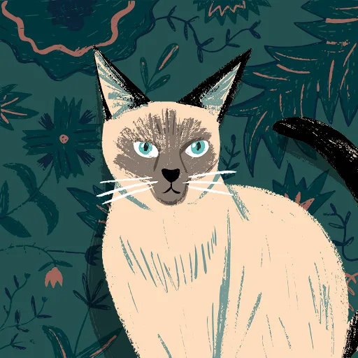 The Cats Whiskers Cattery East Yorkshire - City of Kingston upon Hull pet otel görseli 5