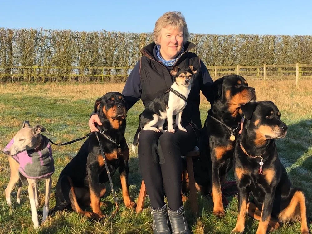 Woodlands Kennel Complex - City of Kingston upon Hull pet otel