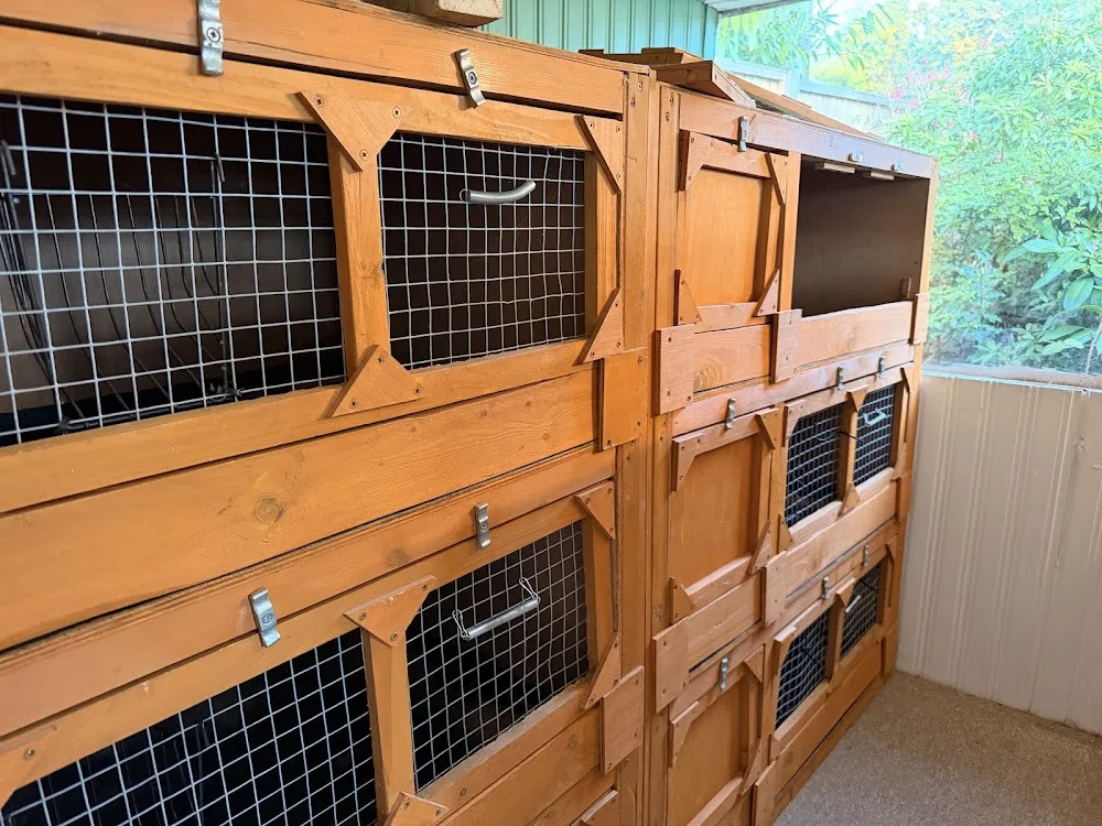 The Little Pet Retreat - City of Southampton pet otel