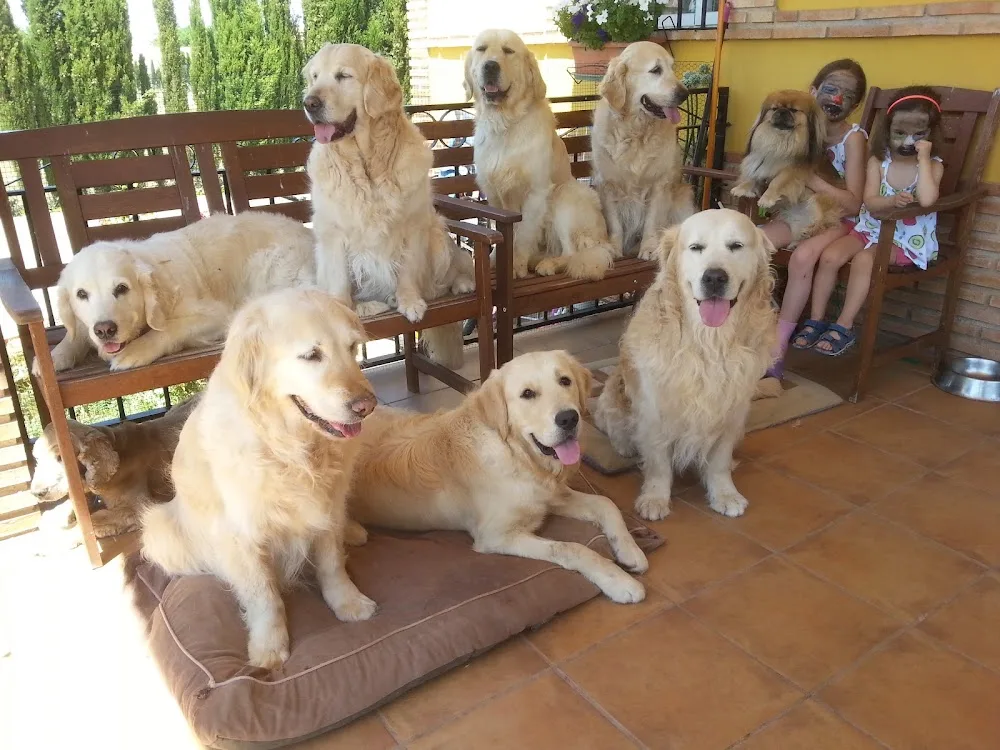 Dogland - Ciudad Real pet otel görseli 3