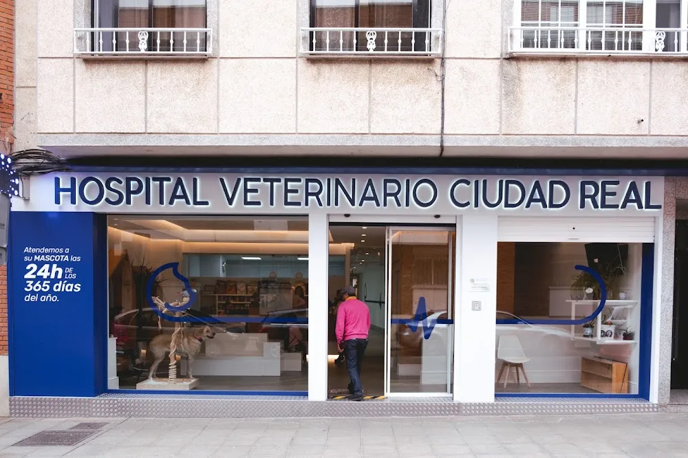 Evidensia Ciudad Real Hospital Veterinario - Ciudad Real pet otel görseli 3