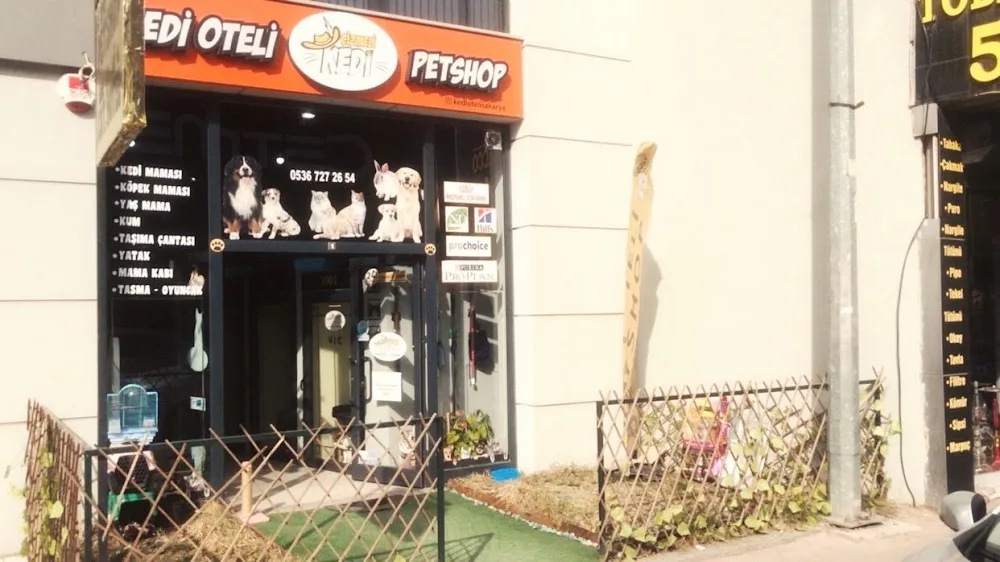 Çizmeli Kedi Petshop & Kedi Oteli - Kedi Pansiyonu - Sakarya pet otel görseli 2