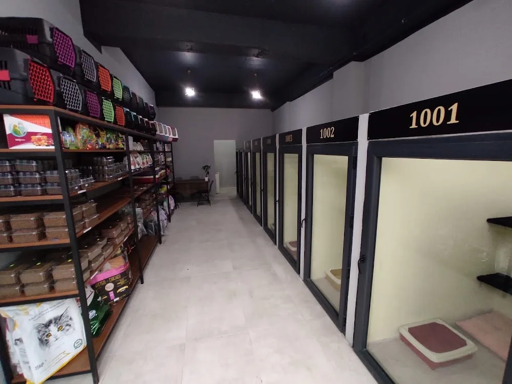 Çizmeli Kedi Petshop & Kedi Oteli - Kedi Pansiyonu - Sakarya pet otel görseli 3