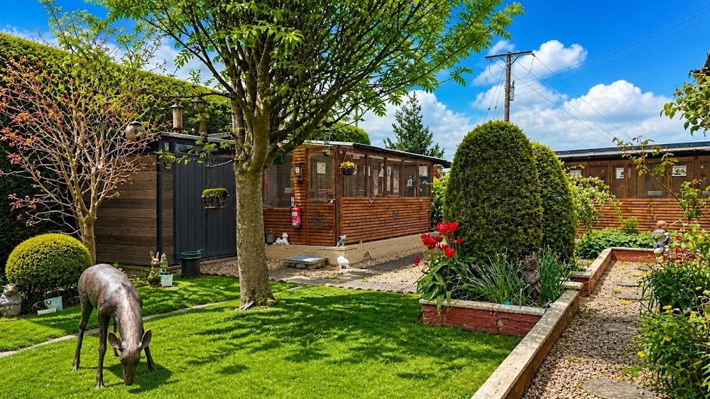 Airth Station Cattery - Clackmannanshire pet otel