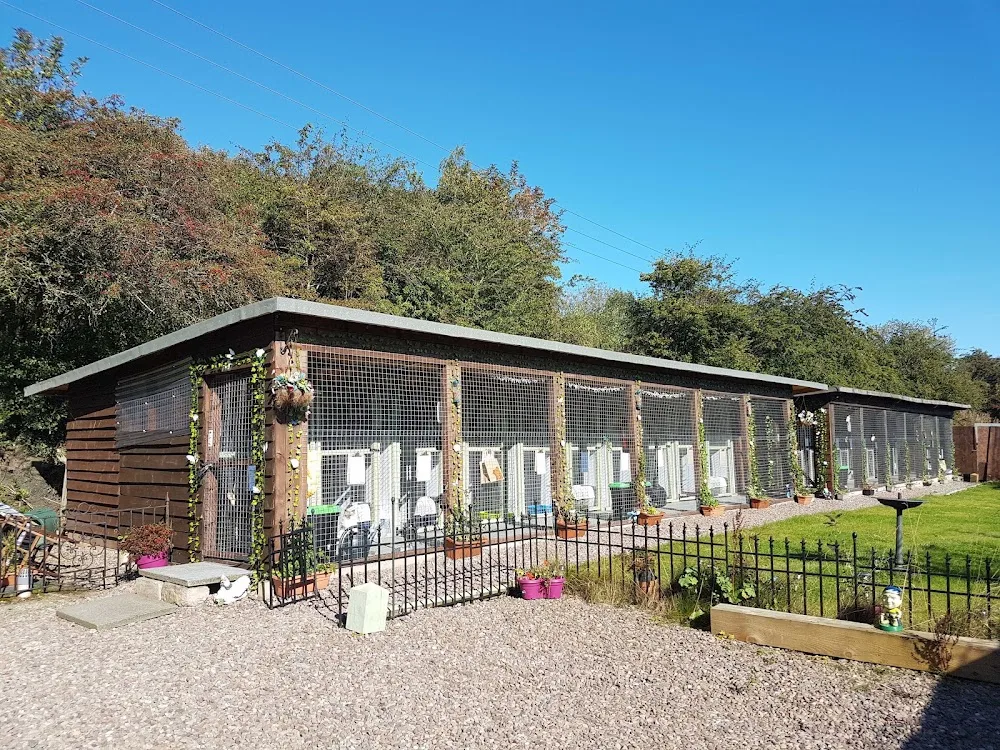 Alloa Cattery - Clackmannanshire pet otel