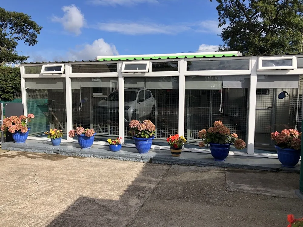Ashlea Boarding Kennels - Clackmannanshire pet otel