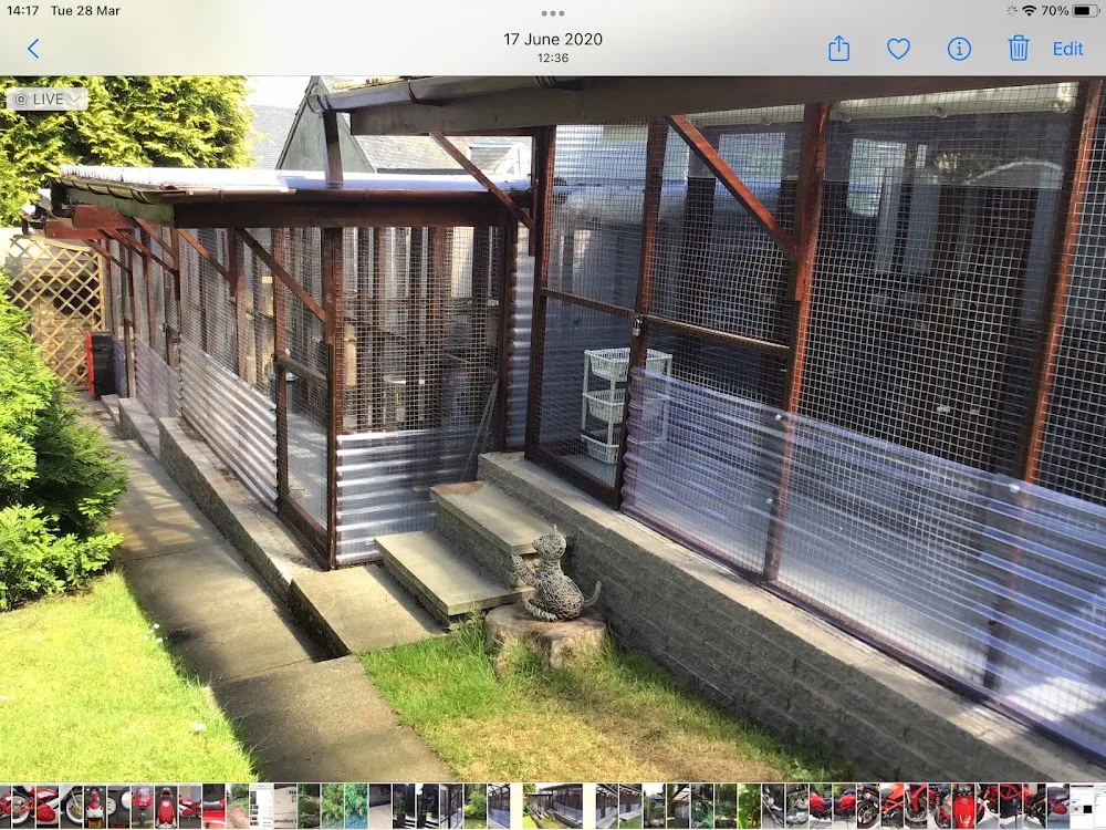Cottage Cattery - Clackmannanshire pet otel