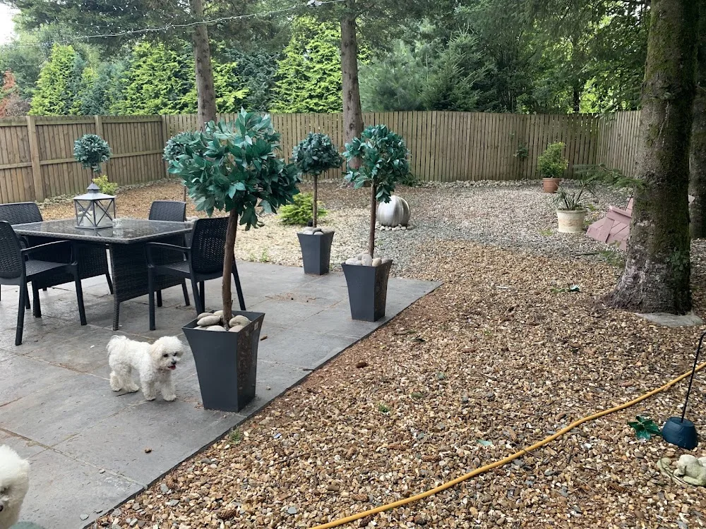 MyDug Home Boarding for Dogs - Clackmannanshire pet otel görseli 3