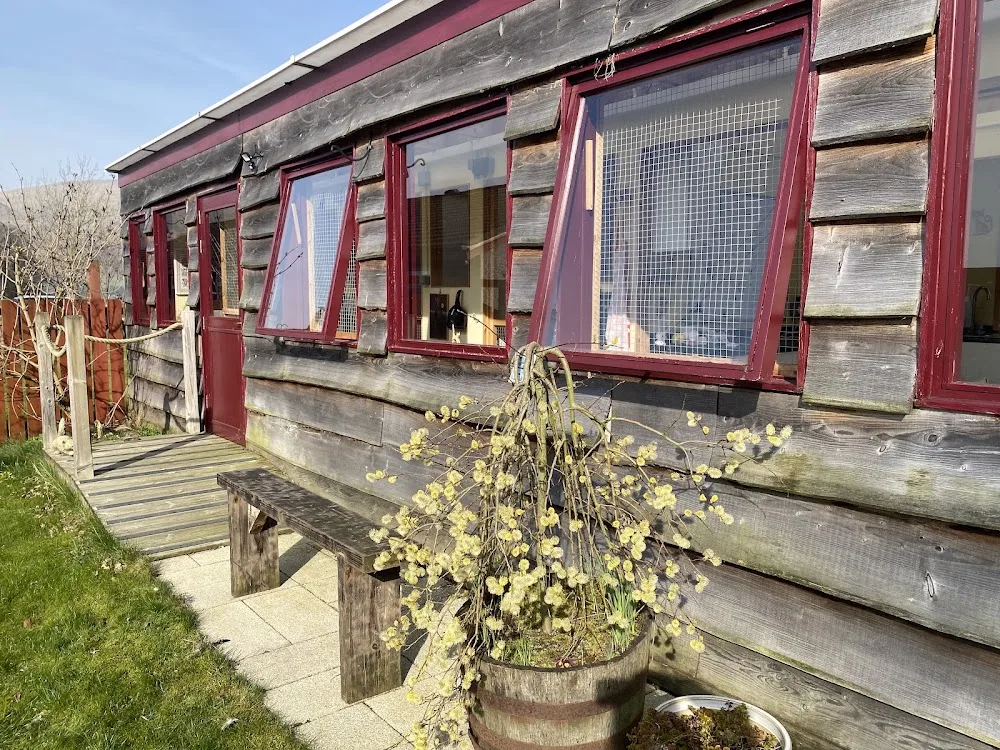 Ochil Hills Cat Hotel - Clackmannanshire pet otel görseli 3
