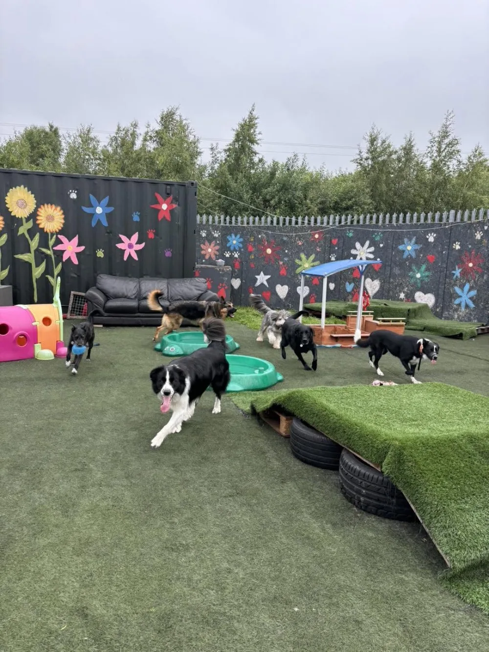 The Dog House & Bark Avenue - Clackmannanshire pet otel