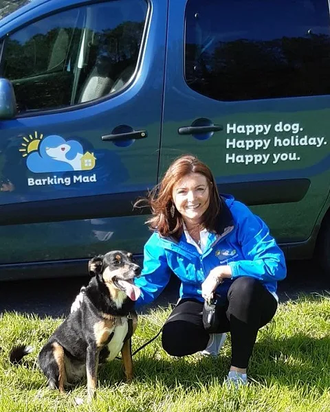 Barking Mad Dog Boarding Limerick, Galway & Clare - Clare pet otel görseli 3