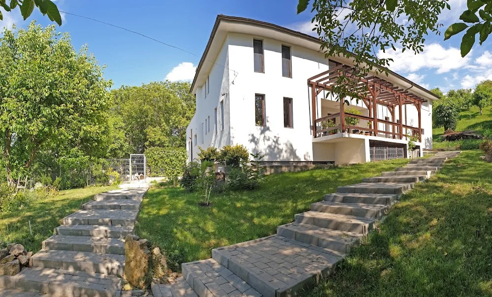 Pet Hotel Cluj - pensiune animale de companie - Cluj pet otel