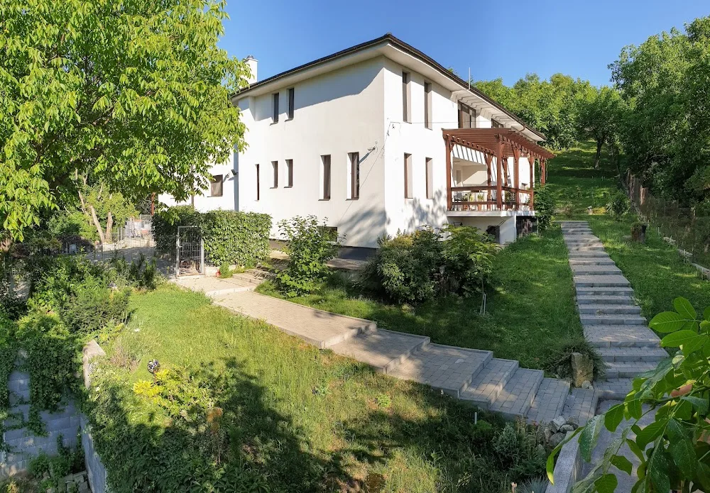 Pet Hotel Cluj - pensiune animale de companie - Cluj pet otel görseli 4