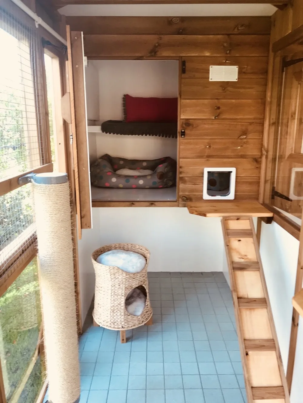 Burbage Cattery - Coalville pet otel görseli 3