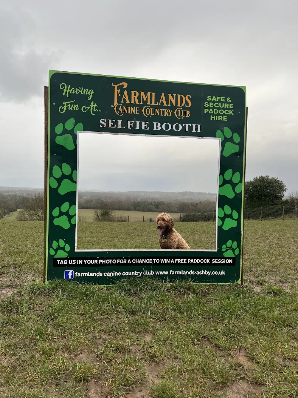 Farmlands Canine Country Club - Coalville pet otel