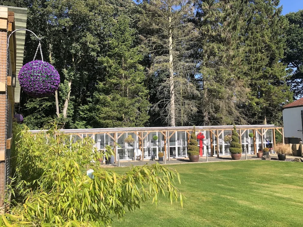 Clyde Valley Cat Hotel - Coatbridge pet otel