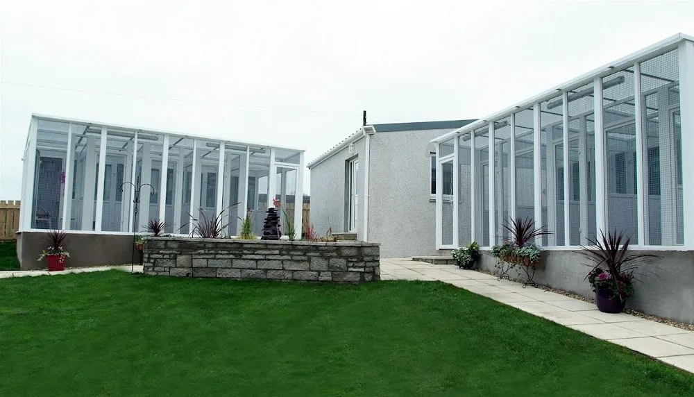 Crooklands Cattery - Coatbridge pet otel