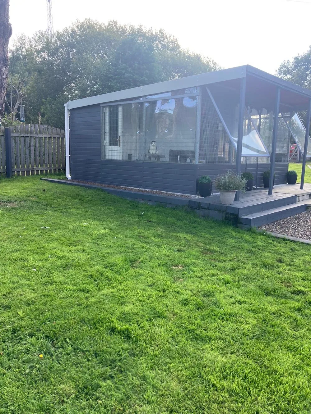 Cuilhill Cattery - Coatbridge pet otel
