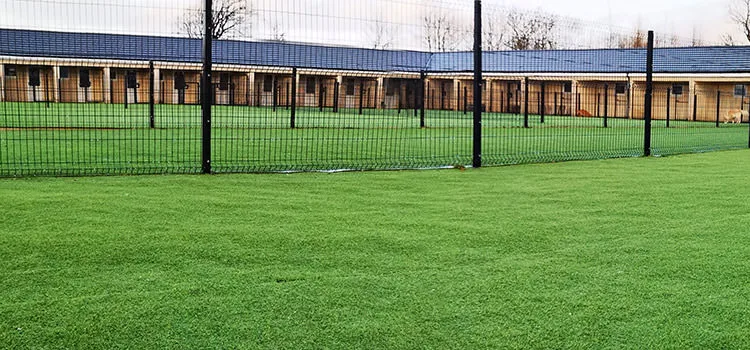 Doggywood Pet Palace - Coatbridge pet otel görseli 3