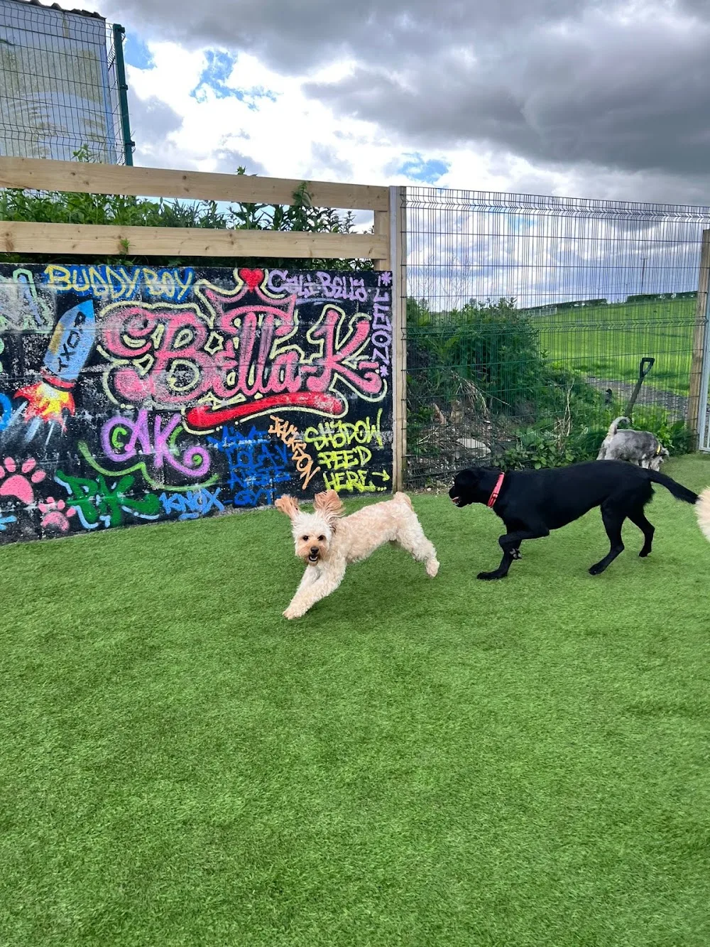 Gartcloss kennels - Coatbridge pet otel