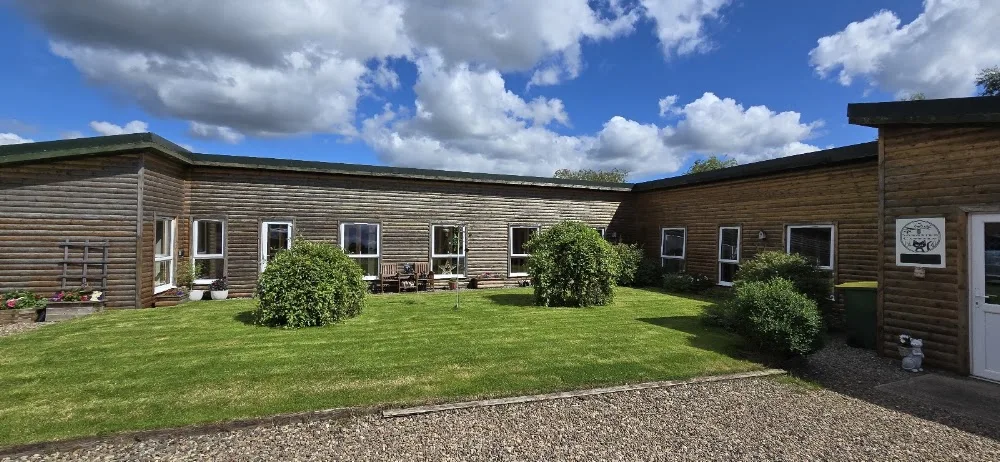 Songbird Cattery - Coatbridge pet otel görseli 3