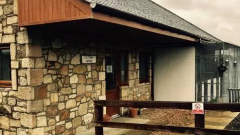 Woodchip Cattery - Coatbridge pet otel