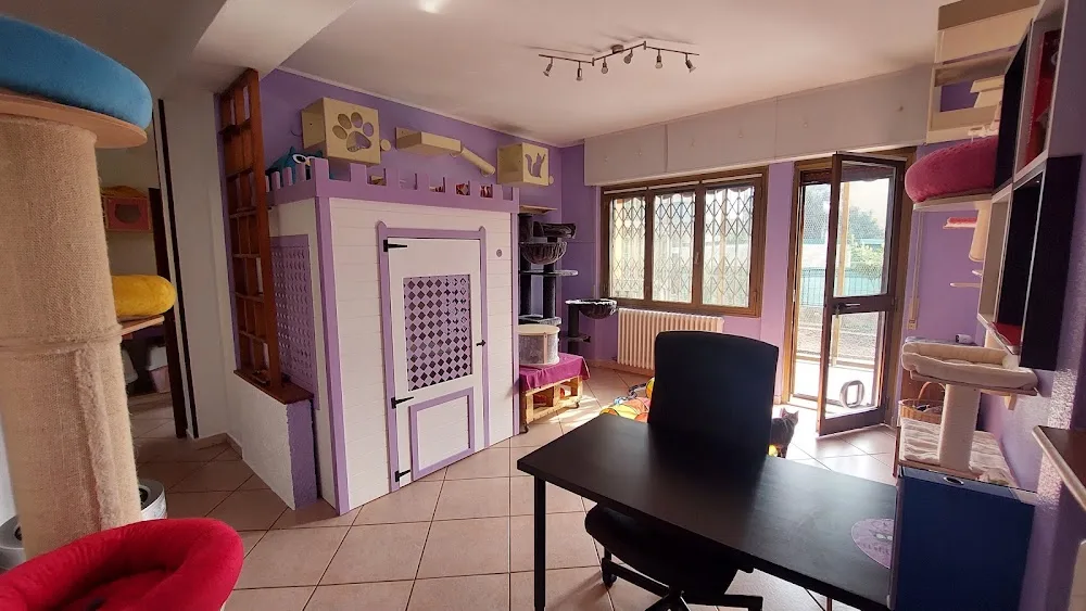 aMici village - Cogliate pet otel görseli 6