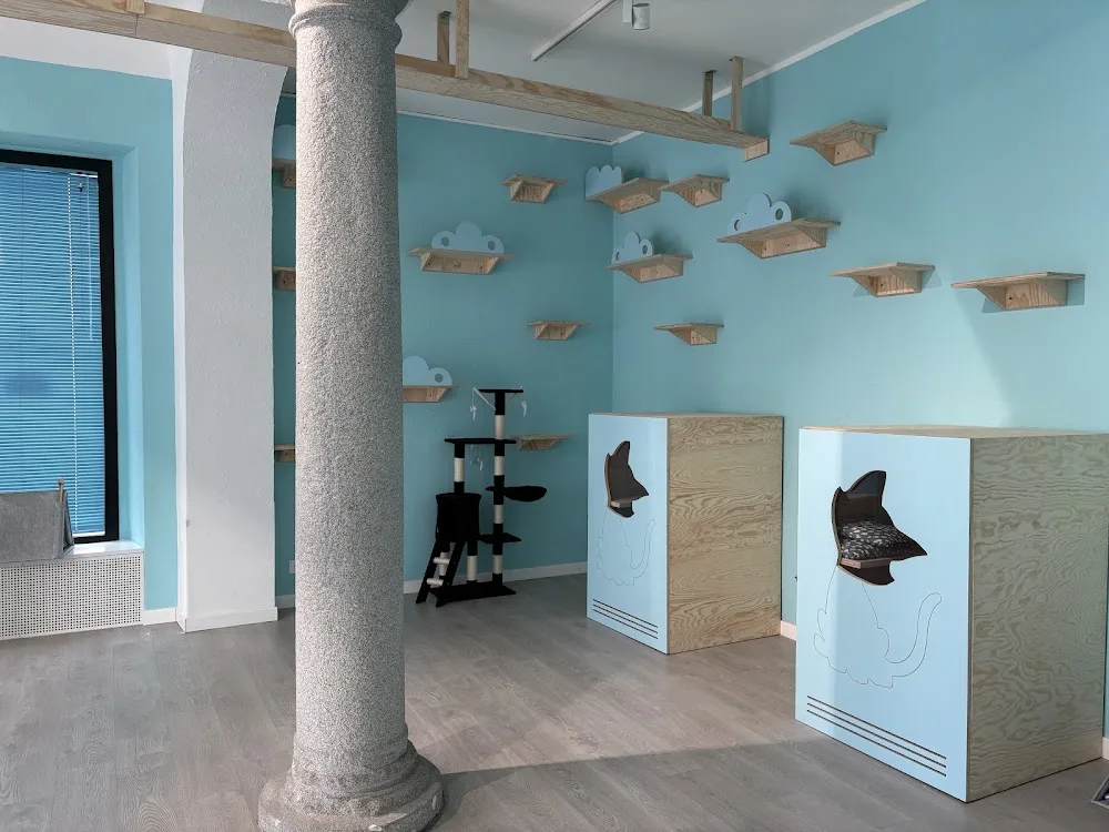 Il MicioNido - Cogliate pet otel