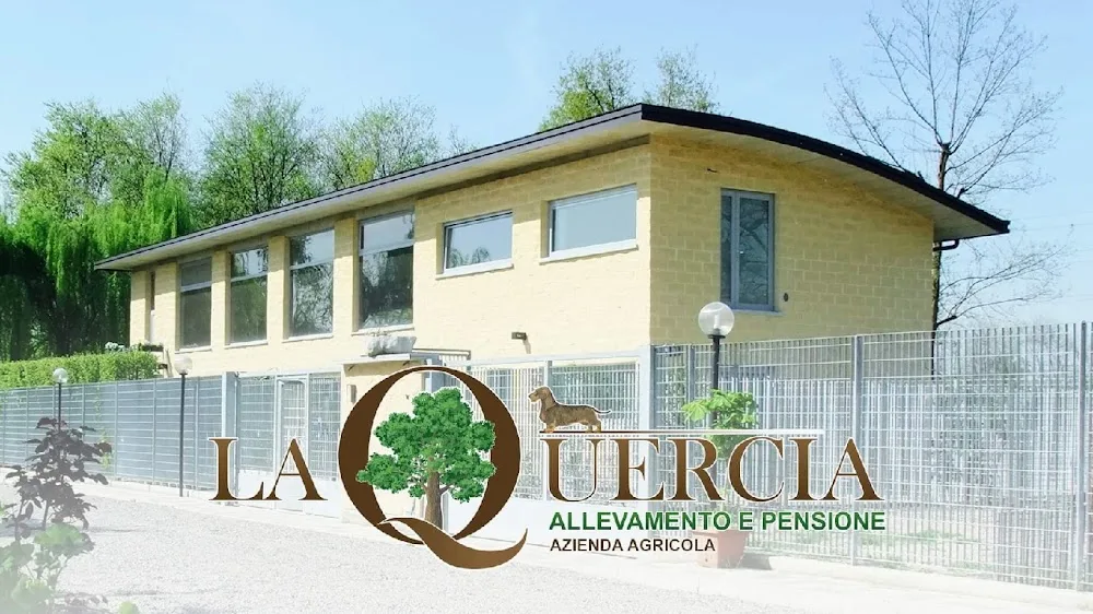 Pensione per animali e allevamento La Quercia - Cogliate pet otel