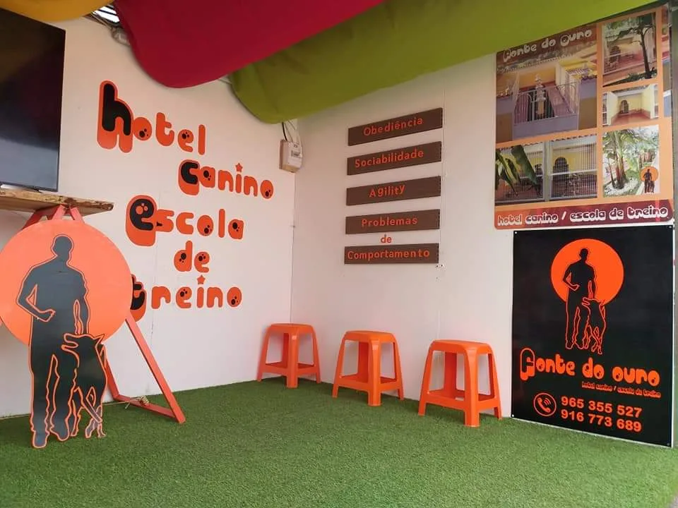 Fonte do Ouro, Hotel Canino e Escola de Treino - Coimbra pet otel görseli 3