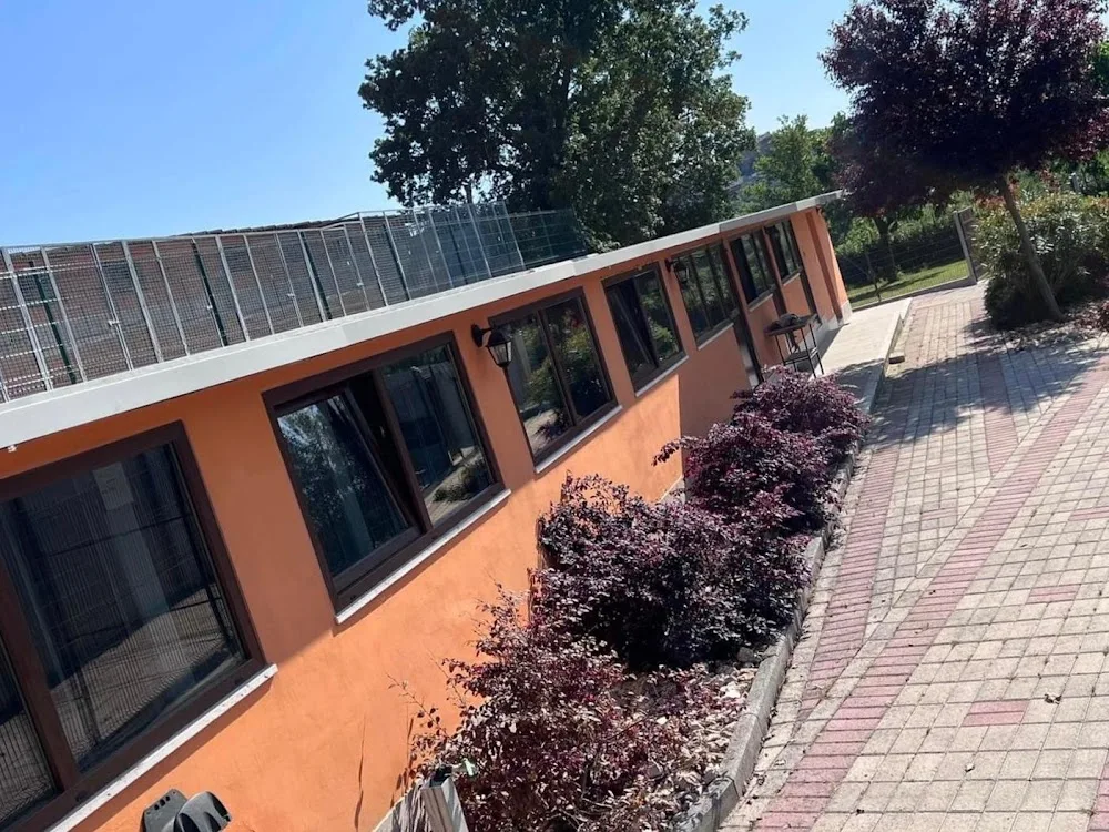 Dog Village Acquasparta | Pensione per Cani - Collazzone pet otel