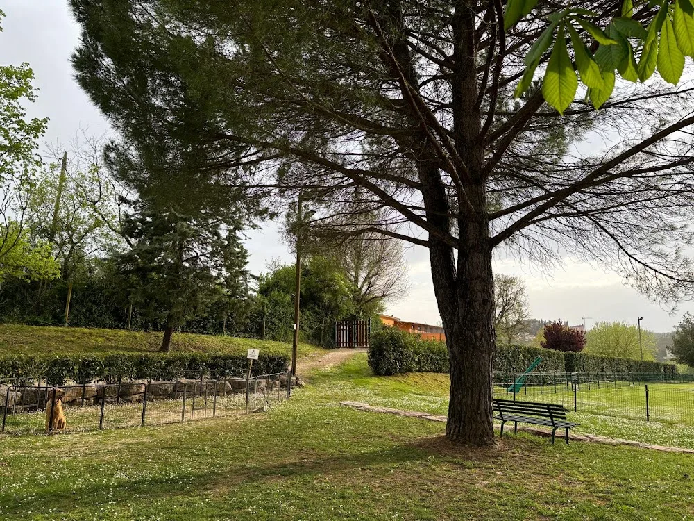 Dog Village Acquasparta | Pensione per Cani - Collazzone pet otel görseli 3