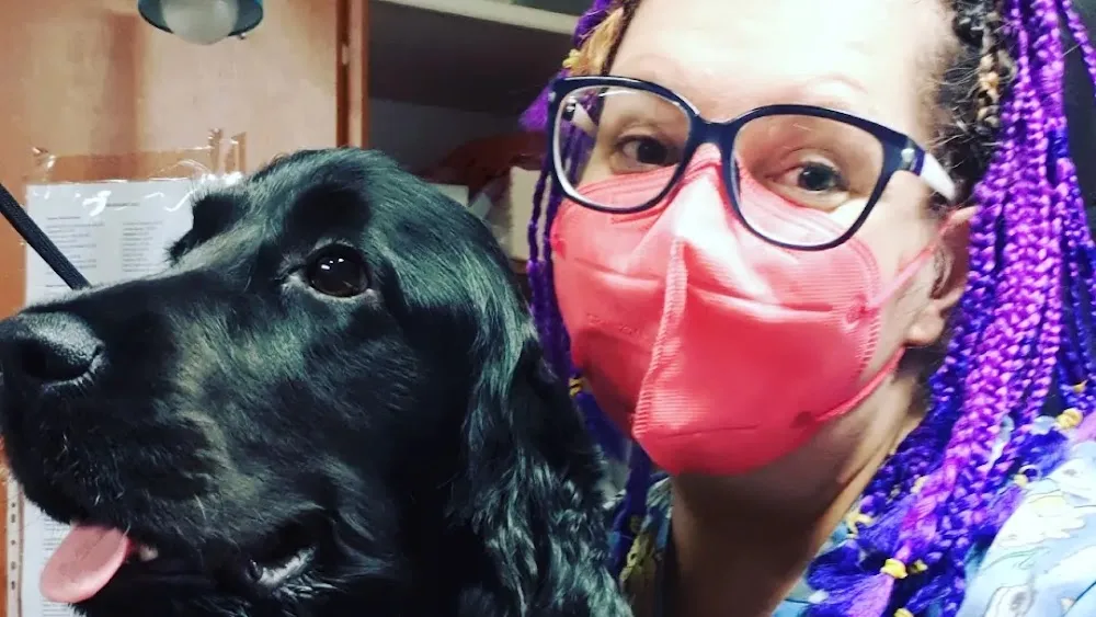 Gli AristoCani Toeletta e agenzia di Pet sitting - Collazzone pet otel