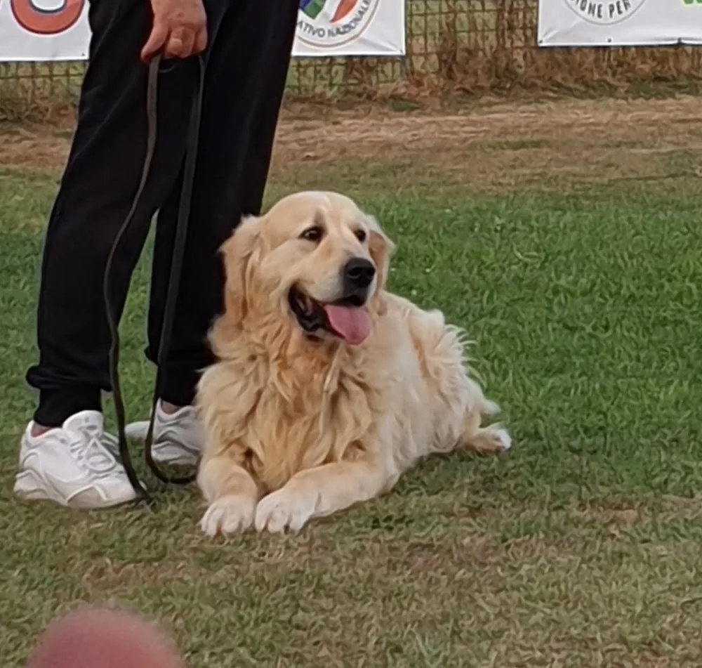 Happy Dog Village - Collazzone pet otel