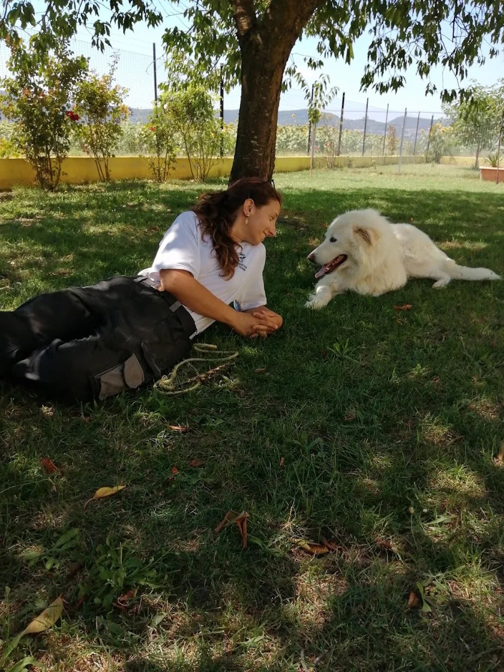 Hotel Canifornia - Collazzone pet otel
