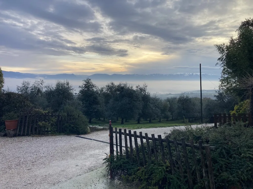 Uliveto Magico Pensione Per Cani e Gatti - Collazzone pet otel görseli 3