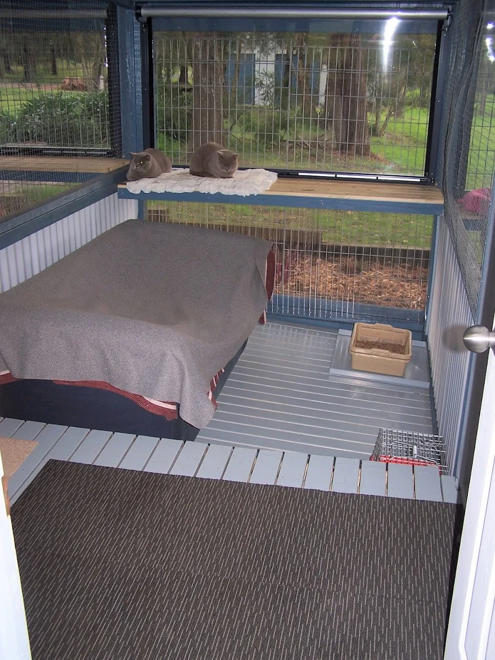 Aragon Cattery Pty Ltd - Colo Heights pet otel görseli 3