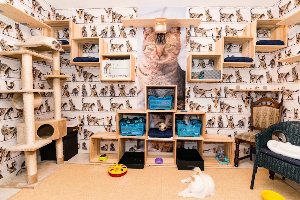Ellis Katzenpension Erftstadt - Cologne pet otel