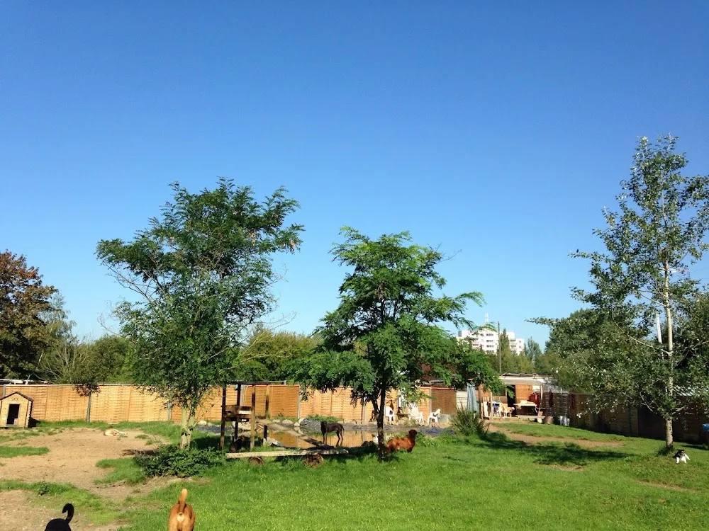Hunde Zentrum Doggy’s Playground - Cologne pet otel
