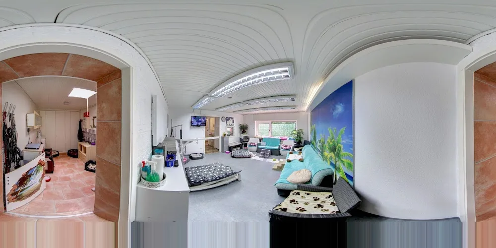 Hundeparadies Rodenkirchen | Sabine Walke - Cologne pet otel görseli 7