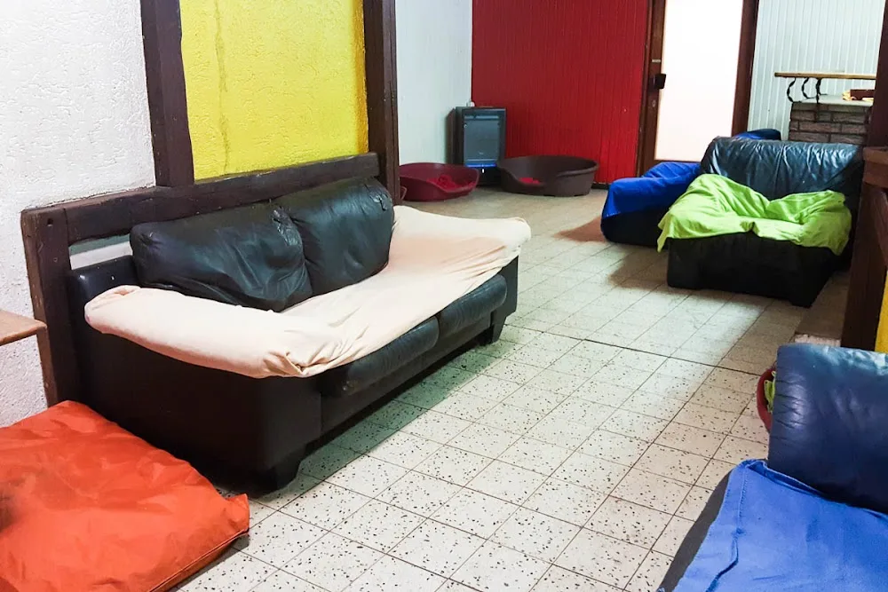 Hundetagesstätte Stadtfelle - Cologne pet otel görseli 3