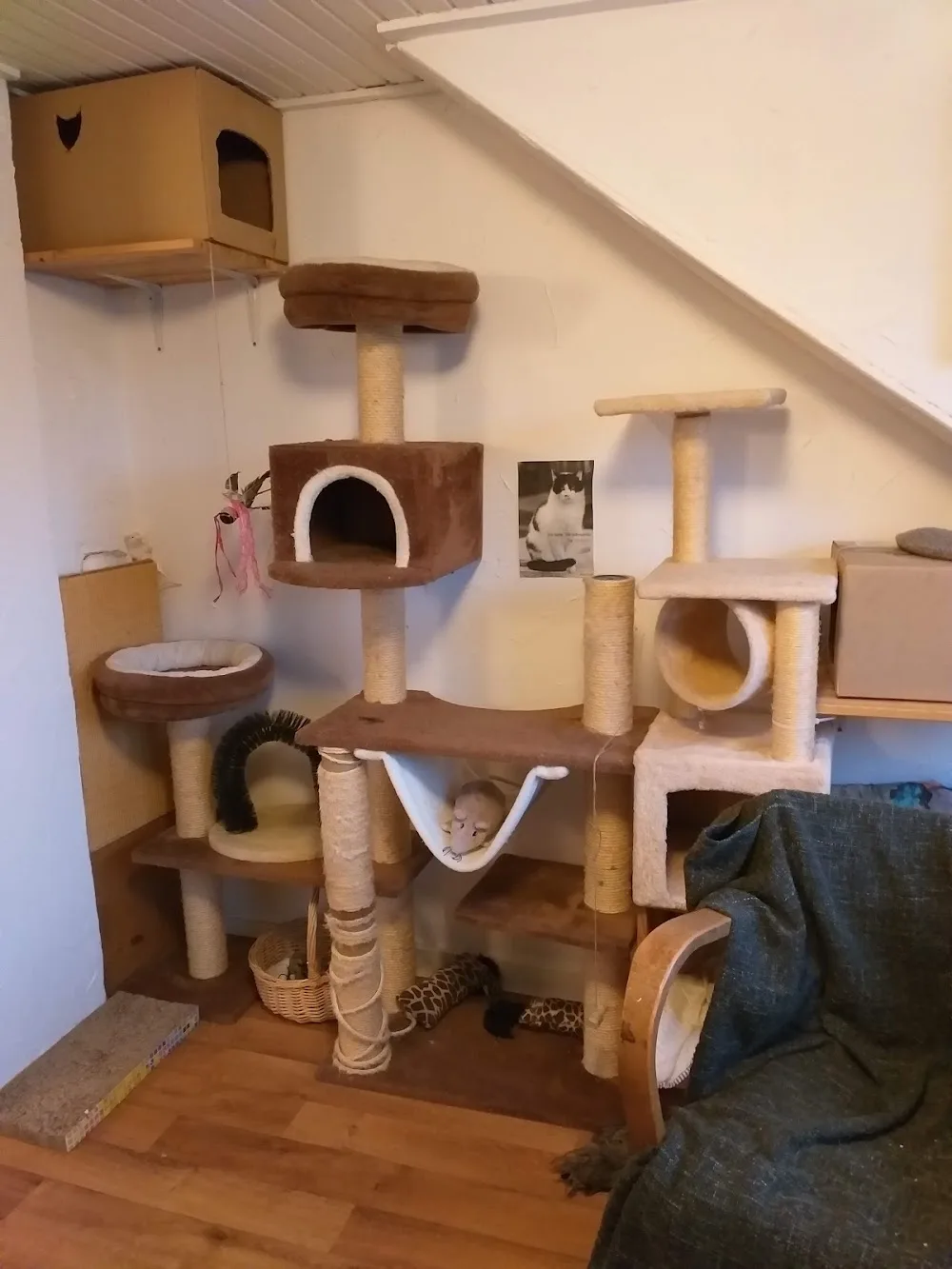 Katz & Co. - Cologne pet otel görseli 2