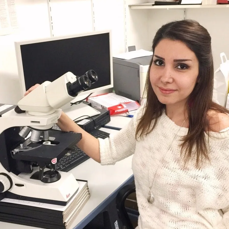 Katzenpension Hoffmann - Cologne pet otel görseli 8