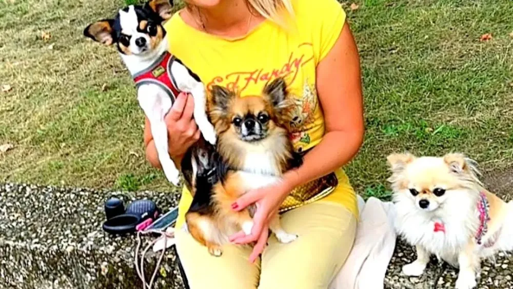 KlaudiasTiersitting & Chihuahua Goldie Huta/Huna/Hundepension für nur 5 Hunde bis 5 kg + Mobil Betreuung für Katzen - Cologne pet otel